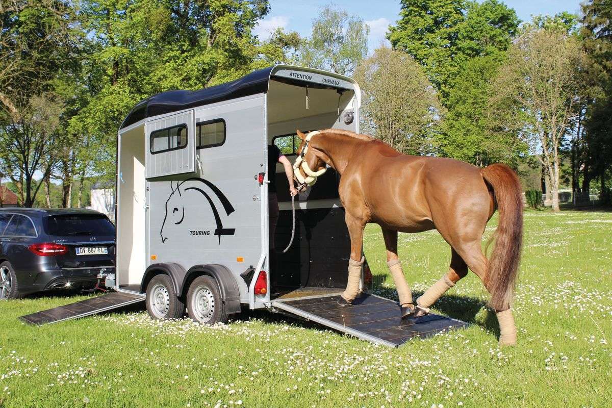 Read more about the article קרון סוסים GOLD 3