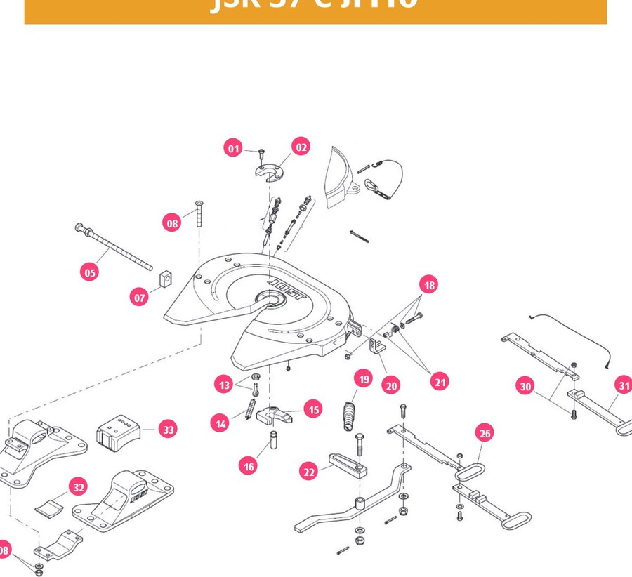Read more about the article פין נועל לצלחת רתימה